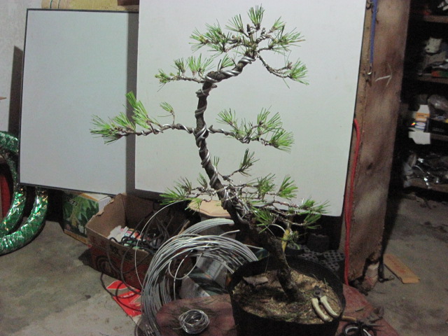 2012-08-30 009.jpg