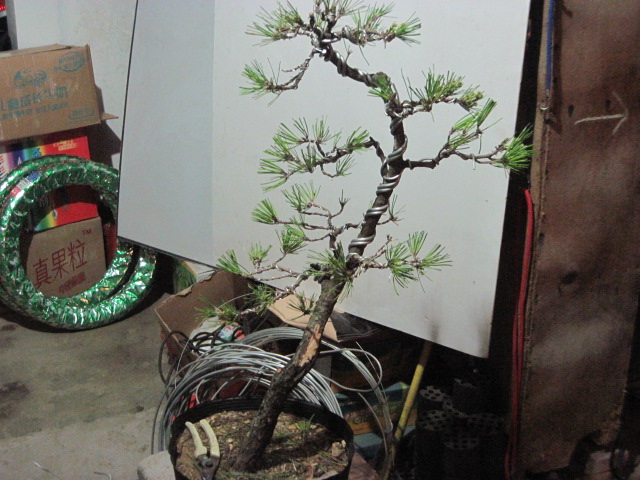 2012-08-30 010.jpg