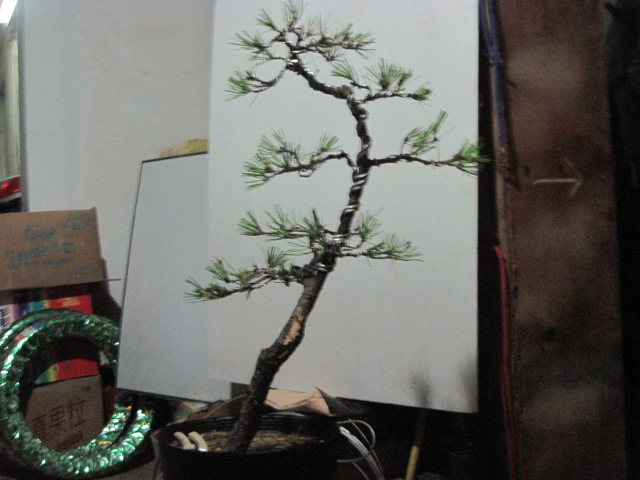 2012-08-30 011.jpg