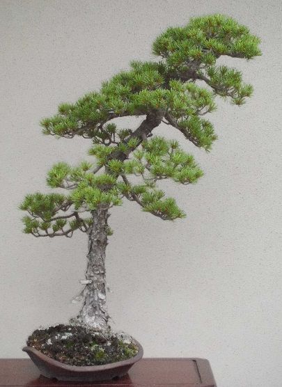 405x556-2012070200028.jpg
