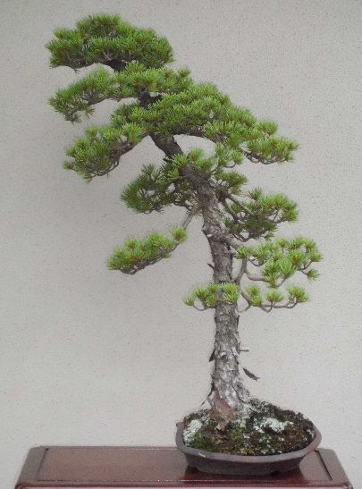 405x547-2012070200029a.jpg