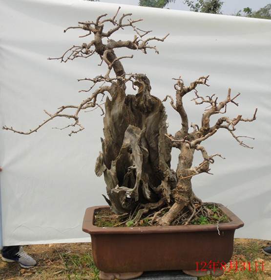DSC02249_.jpg