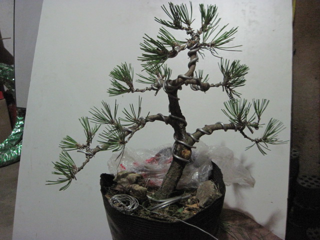 2012-08-31 005.jpg