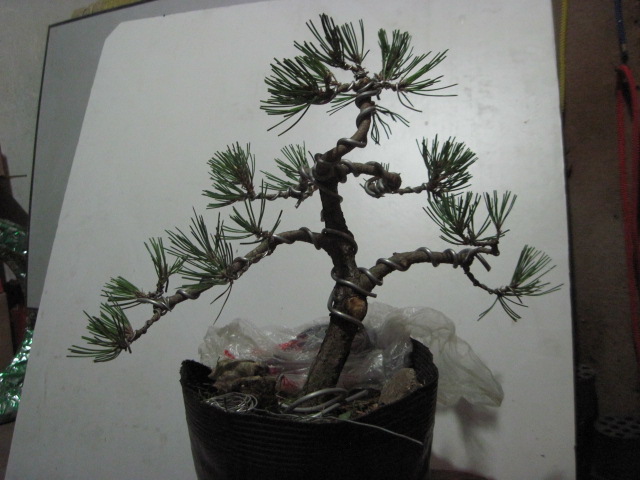 2012-08-31 006.jpg