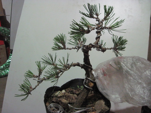 2012-08-31 007.jpg
