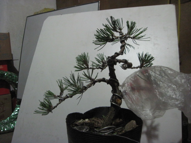 2012-08-31 008.jpg