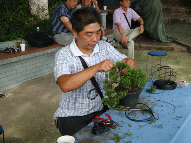 DSC00170.JPG