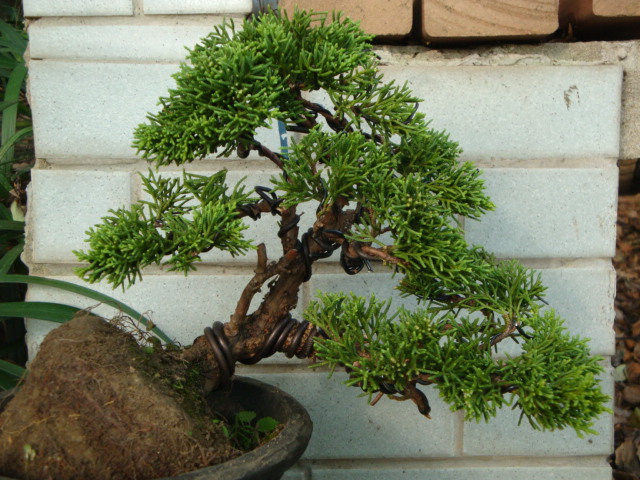DSC00180.JPG