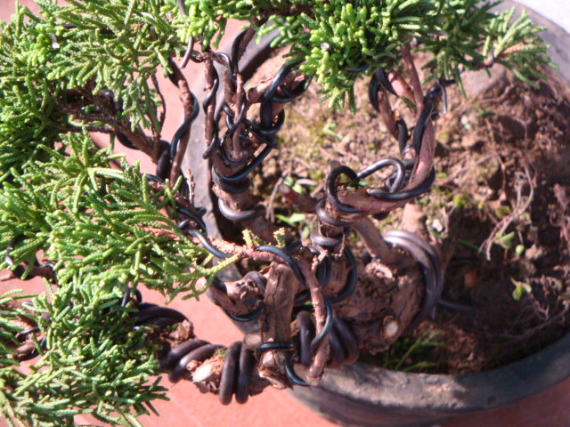 DSC00182.JPG