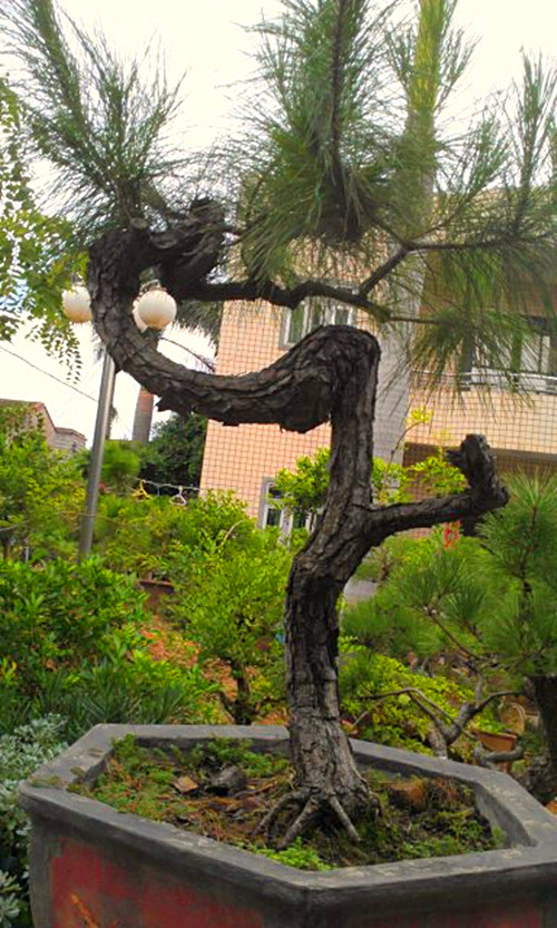 IMAG0125-1_.jpg