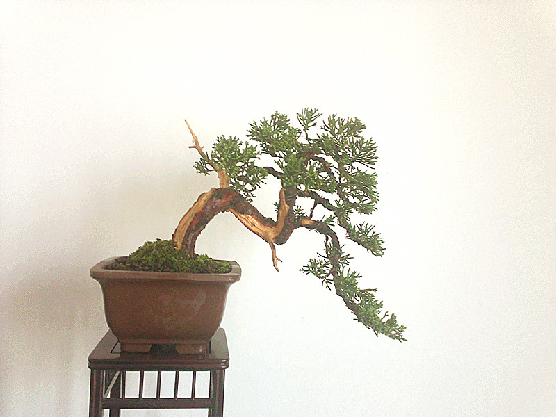 201209021693_.jpg
