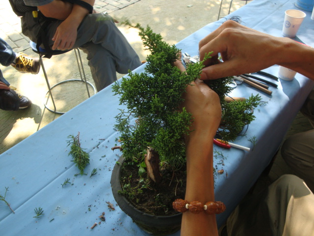 DSC00144.JPG