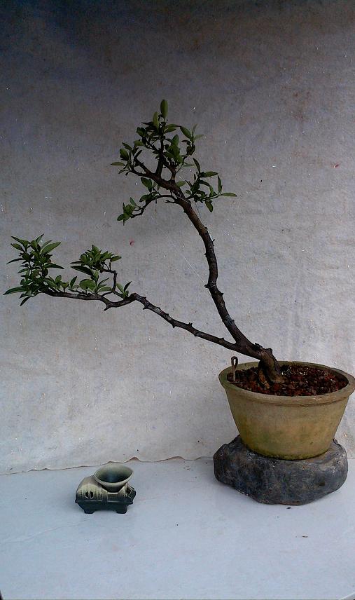 IMG0902111200.jpg