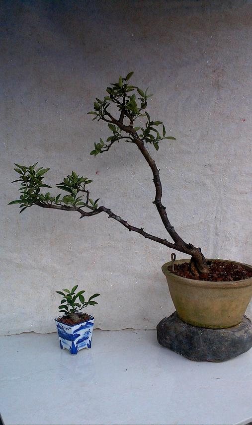 IMG0902111600.jpg