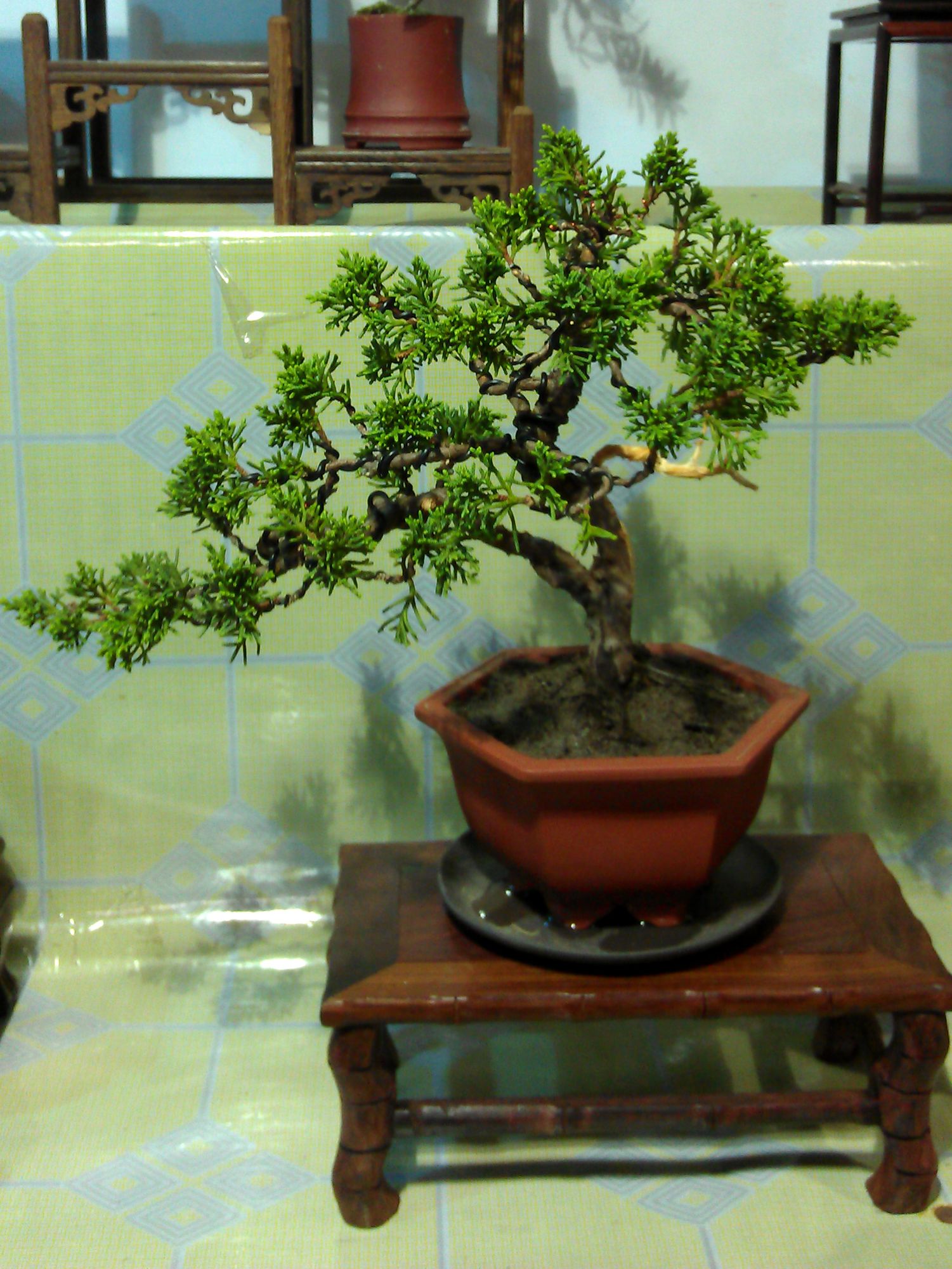 IMAG0157.jpg