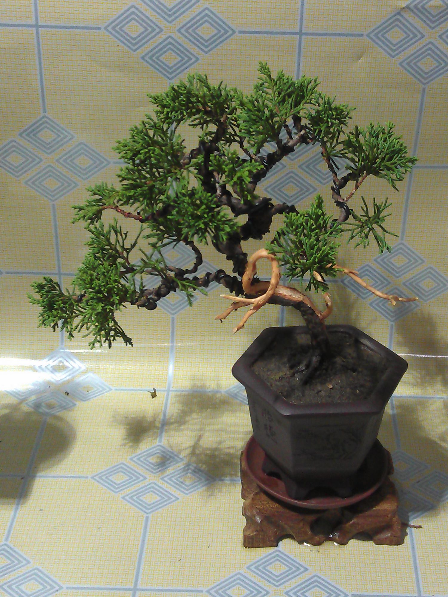 IMAG0159.jpg