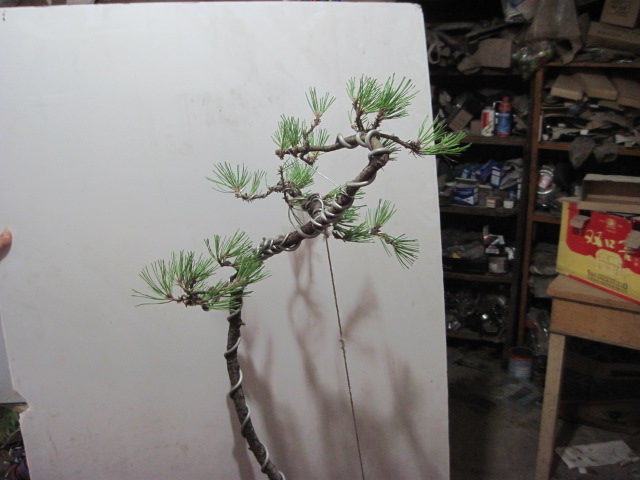 2012-09-06 006.jpg