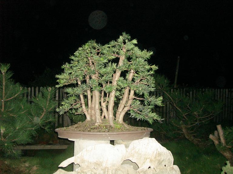 ޺1111111111111.JPG