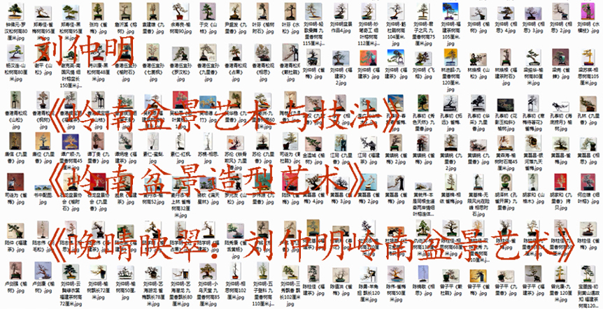 辰뼼.jpg