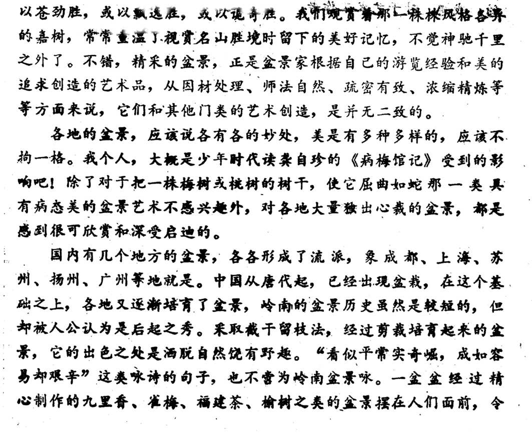 -辰鴫2.jpg