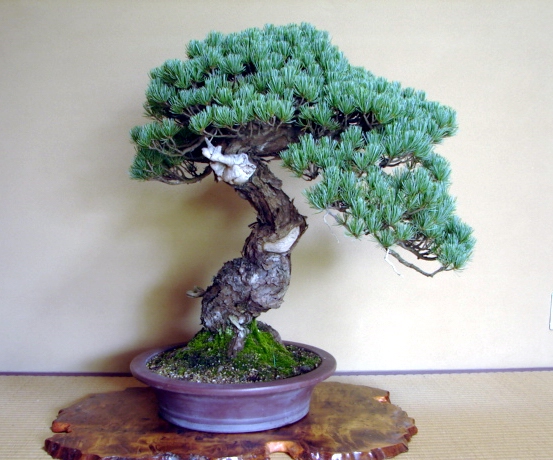 SH 010 (2).jpg