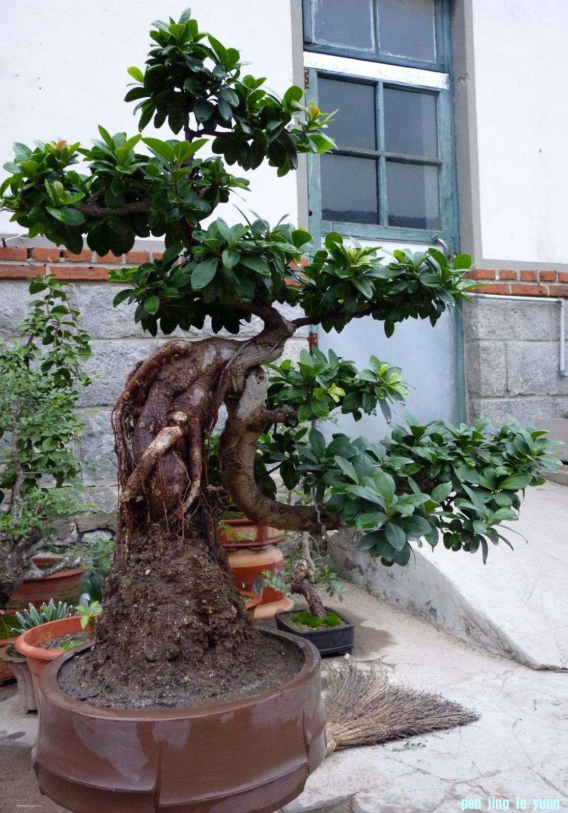 P1000918.JPG
