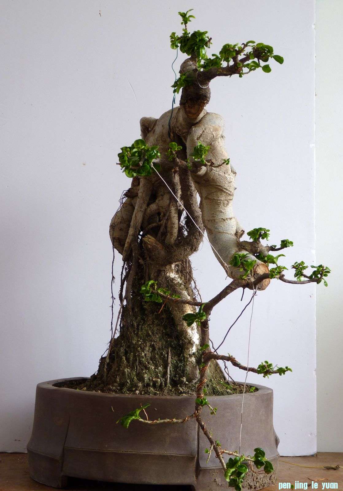 P1020123.jpg