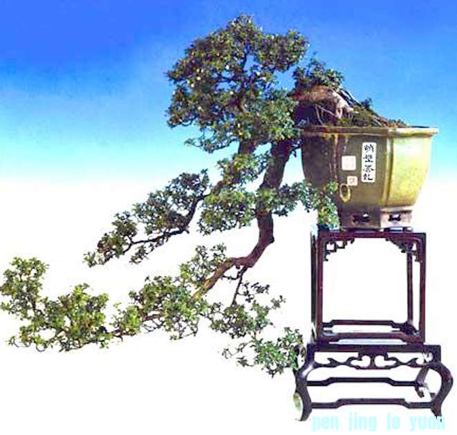 衷 .jpg