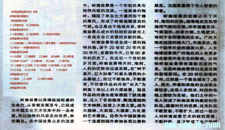 С辰1.jpg