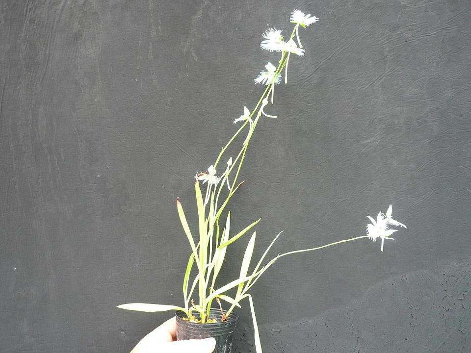 P1100018.JPG