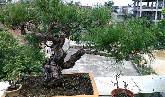 IMG0910112000.jpg