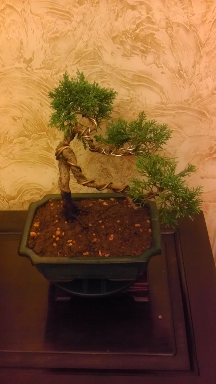 IMAG0080-1.jpg