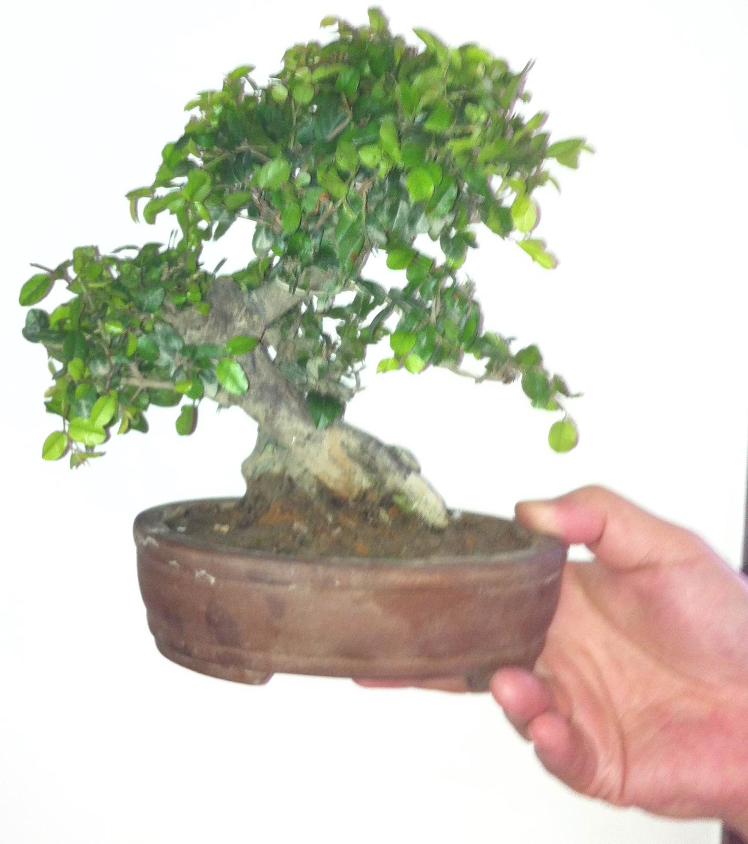 ת IMG_0320.JPG