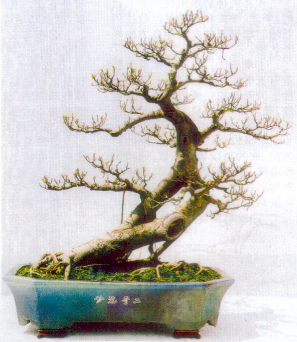 -湤 ϸҶ112.jpg
