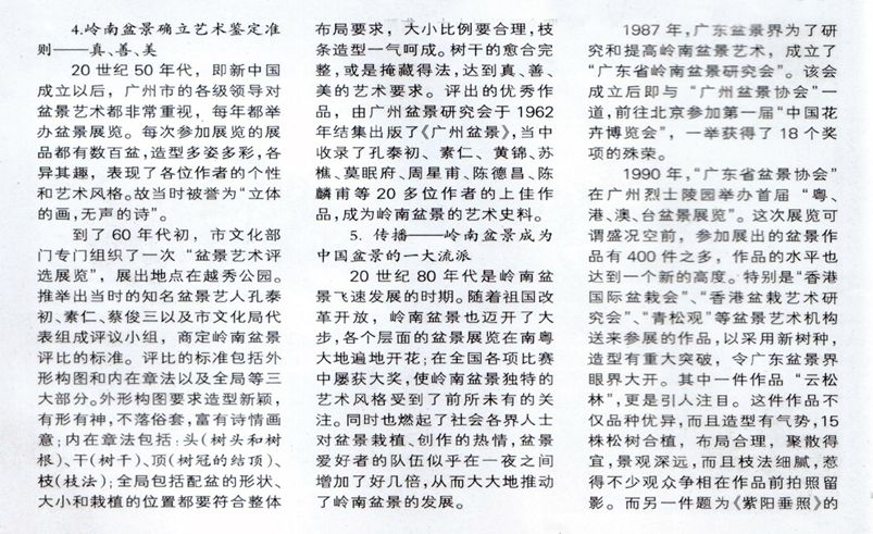 С辰5.jpg