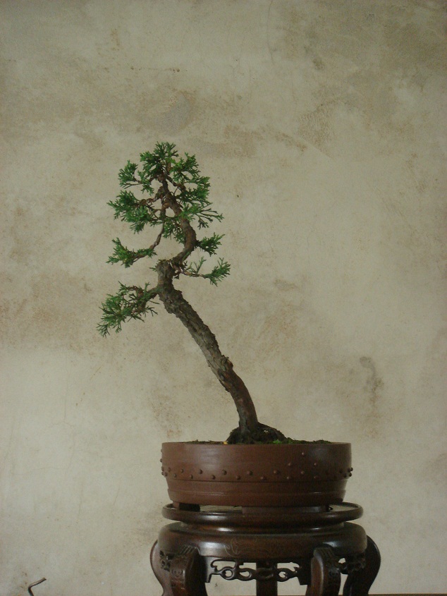 DSC00007.jpg
