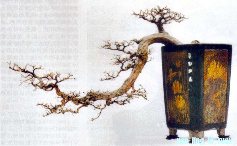 -պǱ Ʈ80.jpg