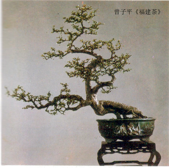 ƽ衷.jpg