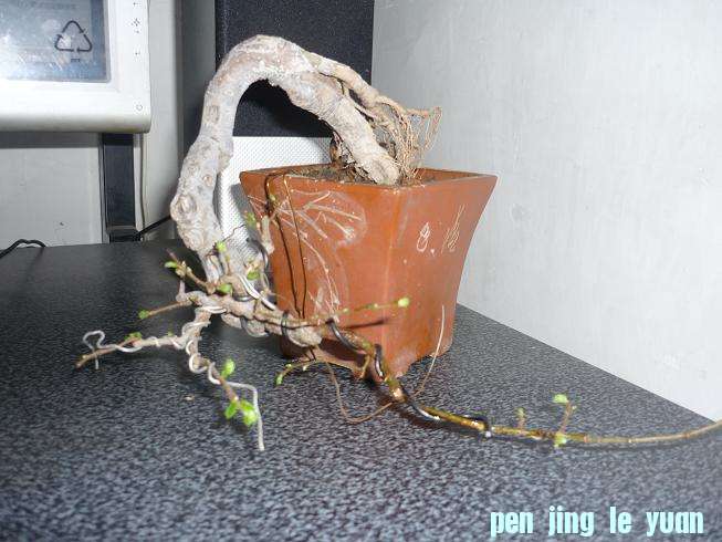 P1010582.JPG
