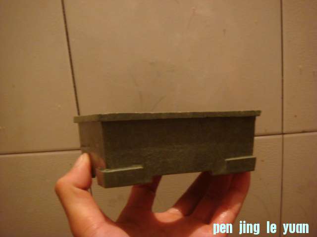 DSC04574.JPG