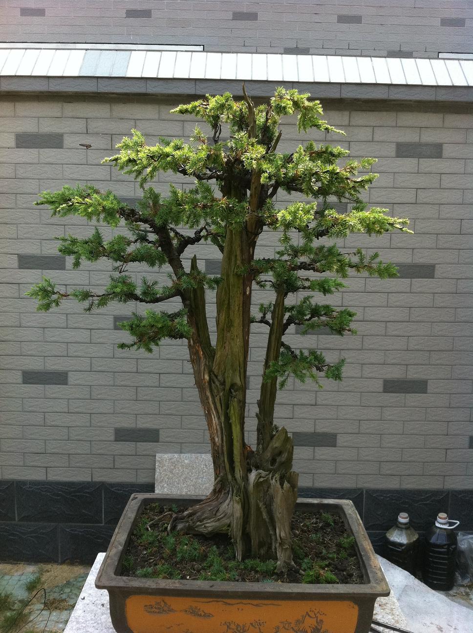 20120919̰ 003.jpg