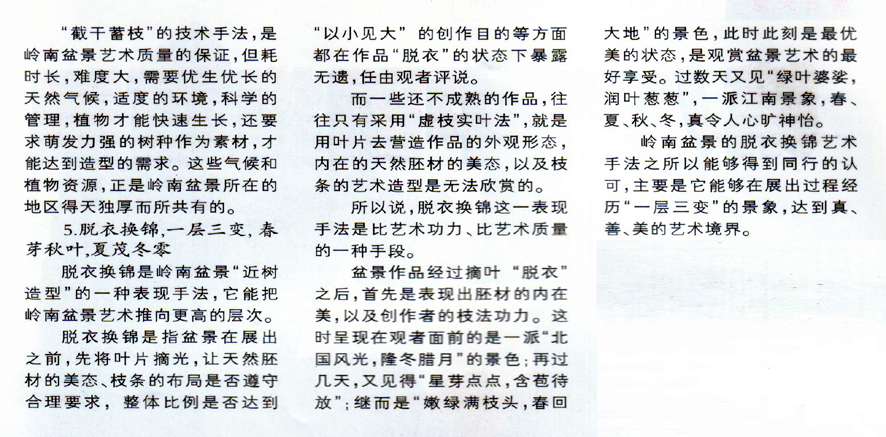 С辰11.jpg