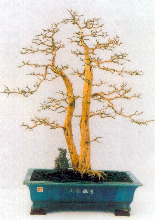 -˫歾 110.jpg