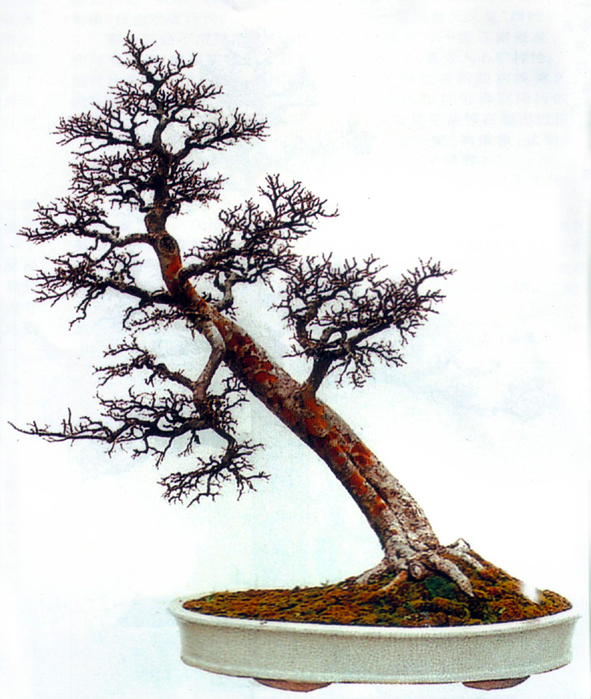 ˳-120.jpg