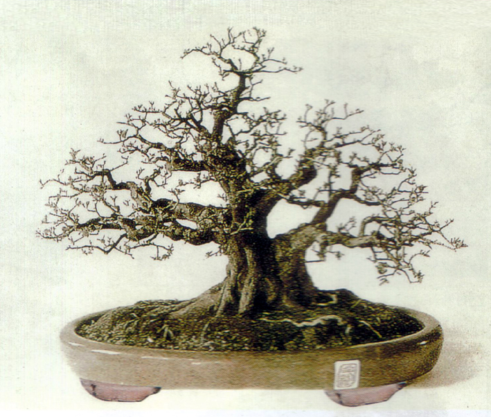 ڲ-ȸ÷.jpg