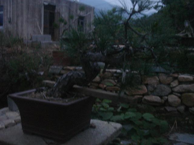 DSC06616.JPG