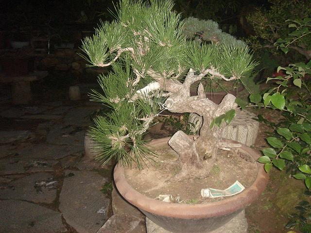 DSC06636.JPG
