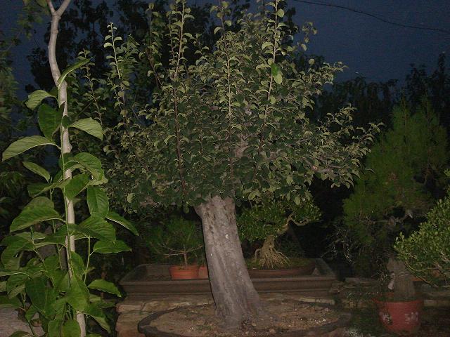 DSC06640.JPG