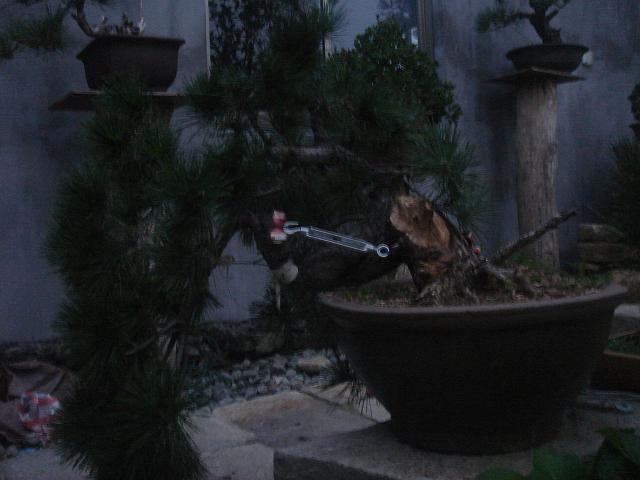 DSC06608.JPG