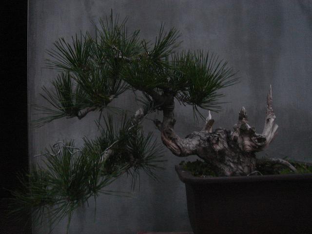 DSC06609.JPG